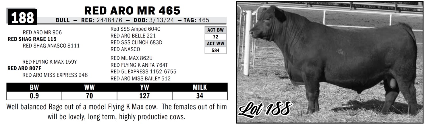 Tk Rasel Bul Lot 188: TK Angus & Arrowsmith Red Angus - 42nd Annual Angus Bull ...