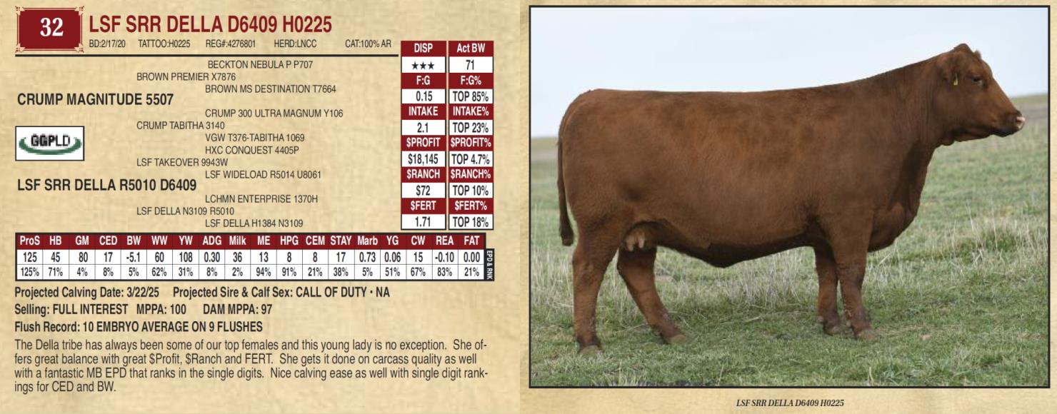 Lot 32 LSF SRR DELLA D6409 H0225 Ludvigson Stock Farms Prime Time