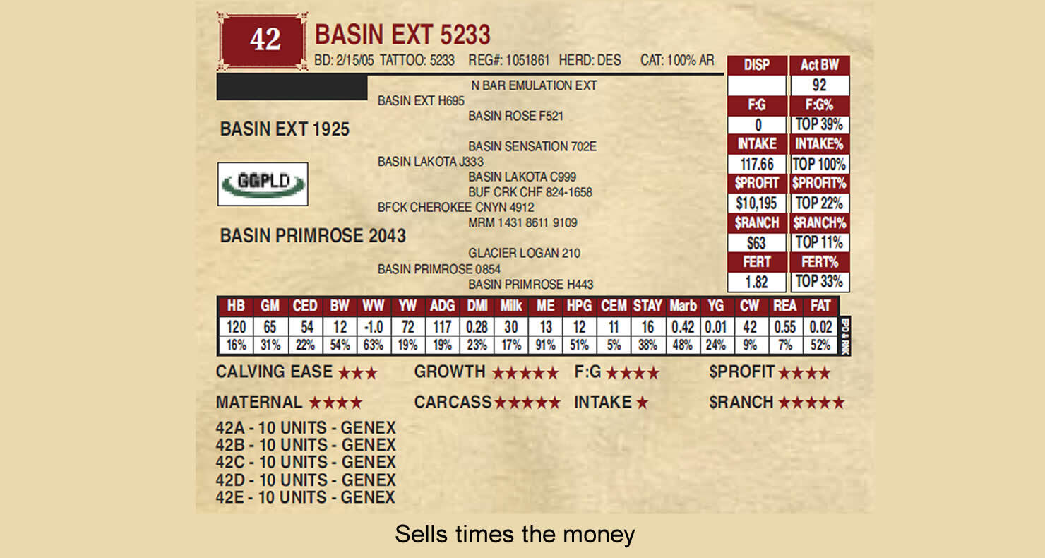 Ludvigson Stock Farms Lot 42A BASIN EXT 5233 Ludvigson Stock