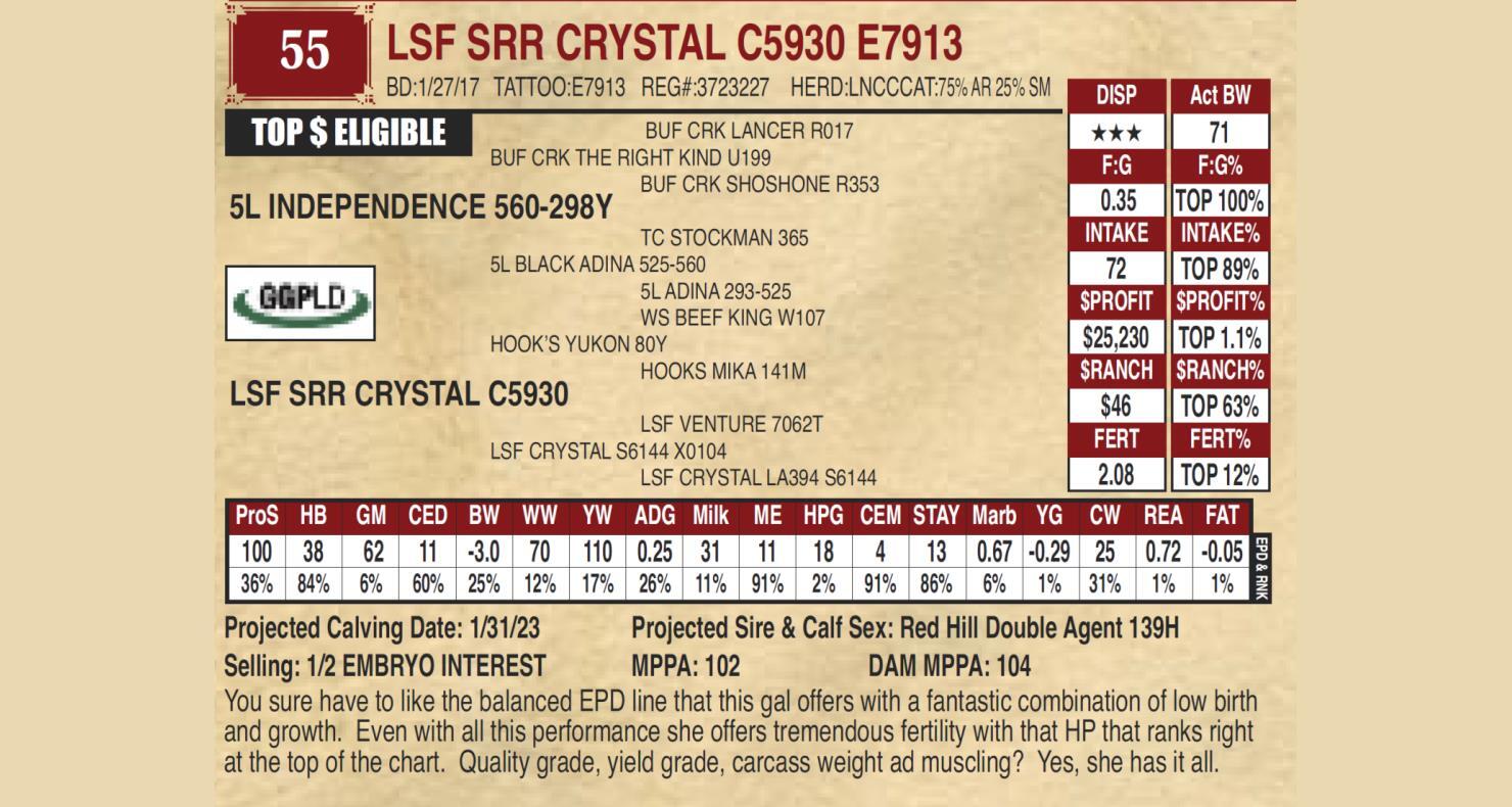 Ludvigson Stock Farms Lot 55 LSF SRR CRYSTAL C5930 E7913