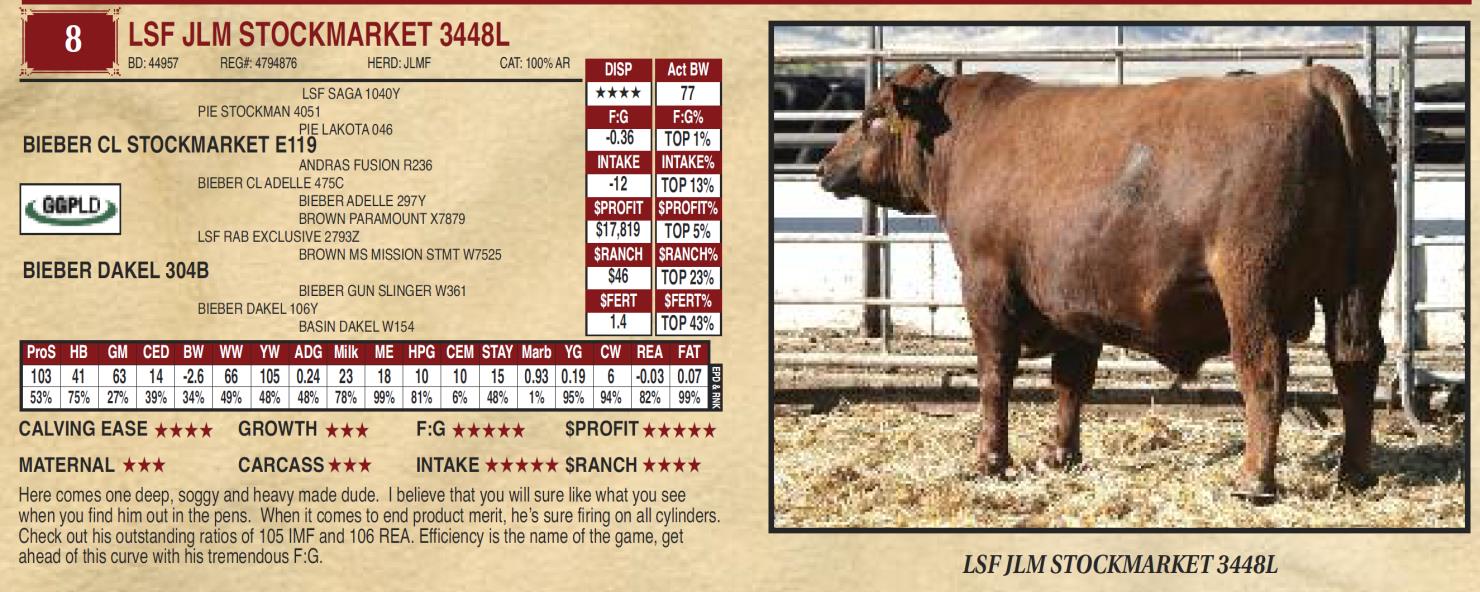 Lot 8 Ludvigson Stock Farms Fall Herdbuilder Bull Sale and Female
