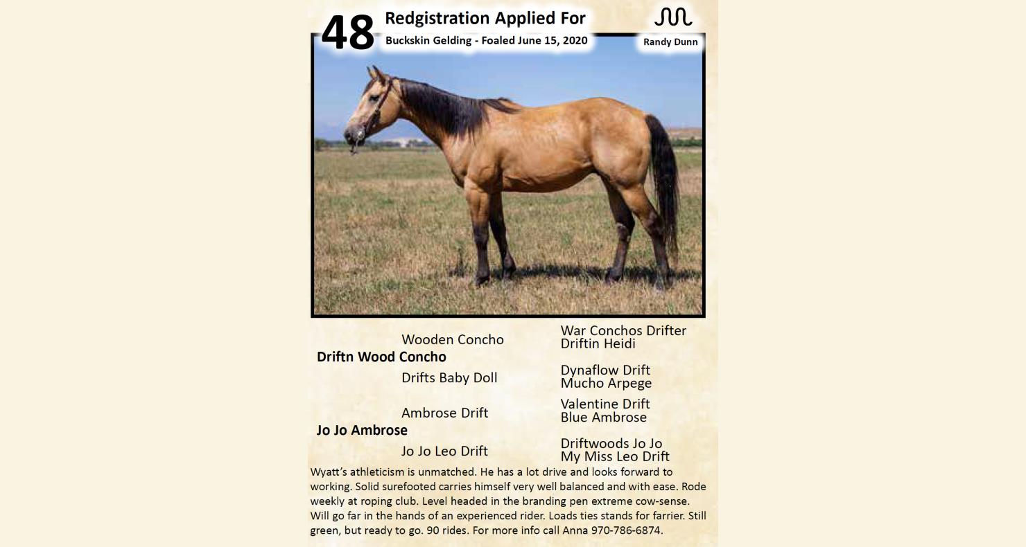 Lot 48 Come To The Source 26th Annual Horse Sale DVAuction