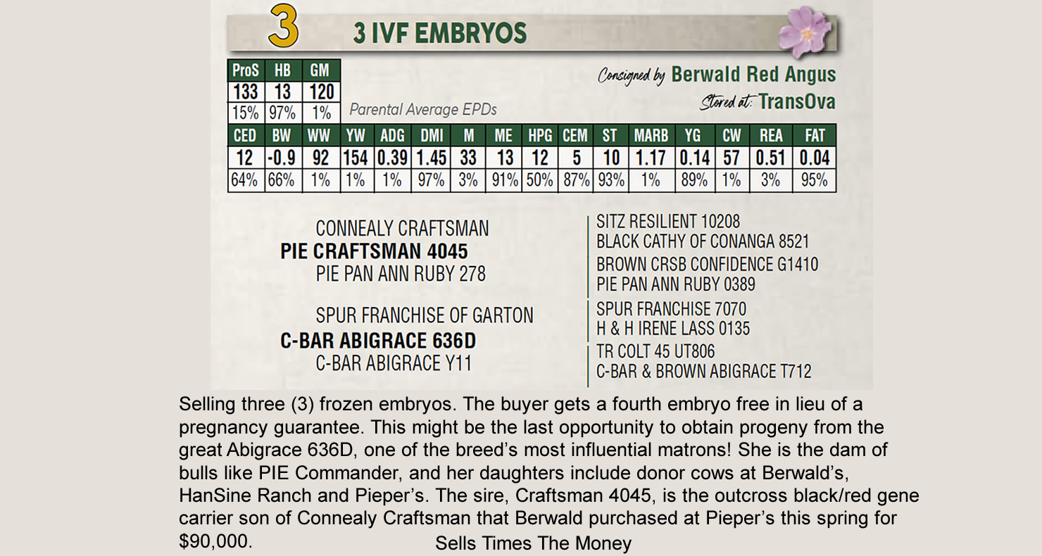 Lot 3 North Dakota Red Select Annual Red Angus Female Sale DVAuction