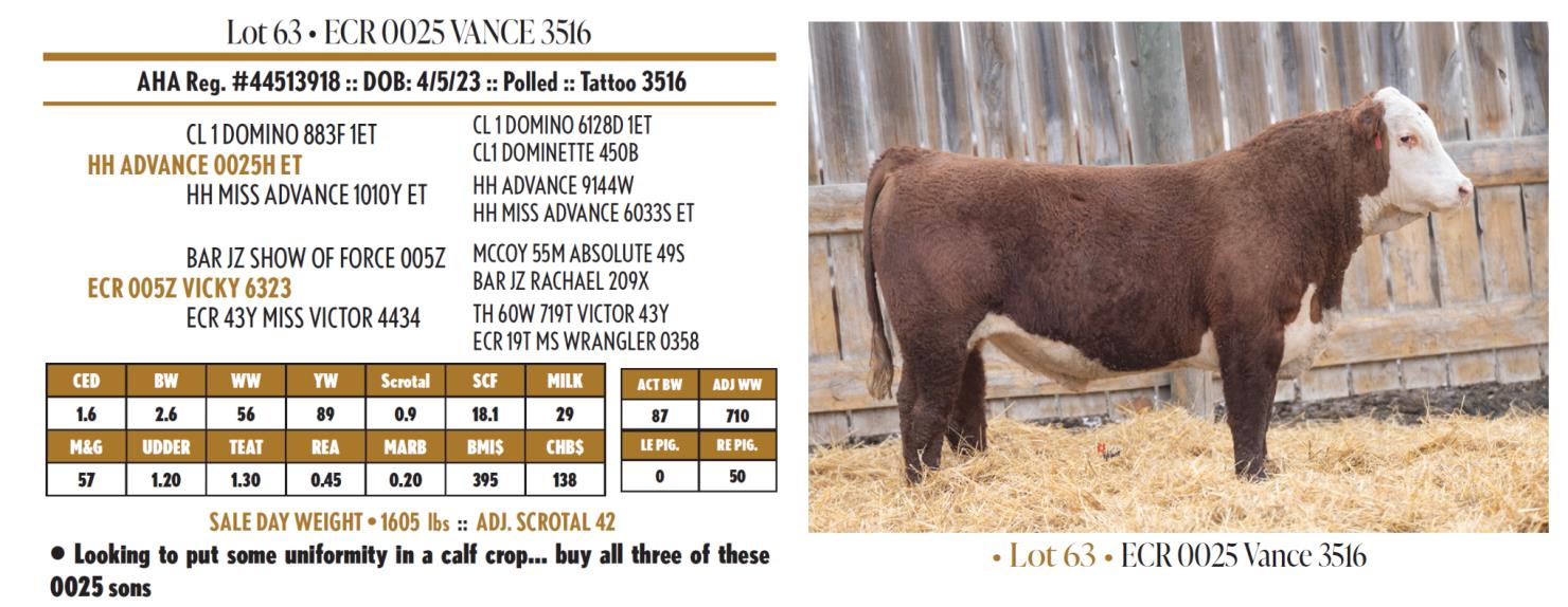 Lot 63: Fawcett's Elm Creek Ranch - Annual Hereford & Angus Bull ...