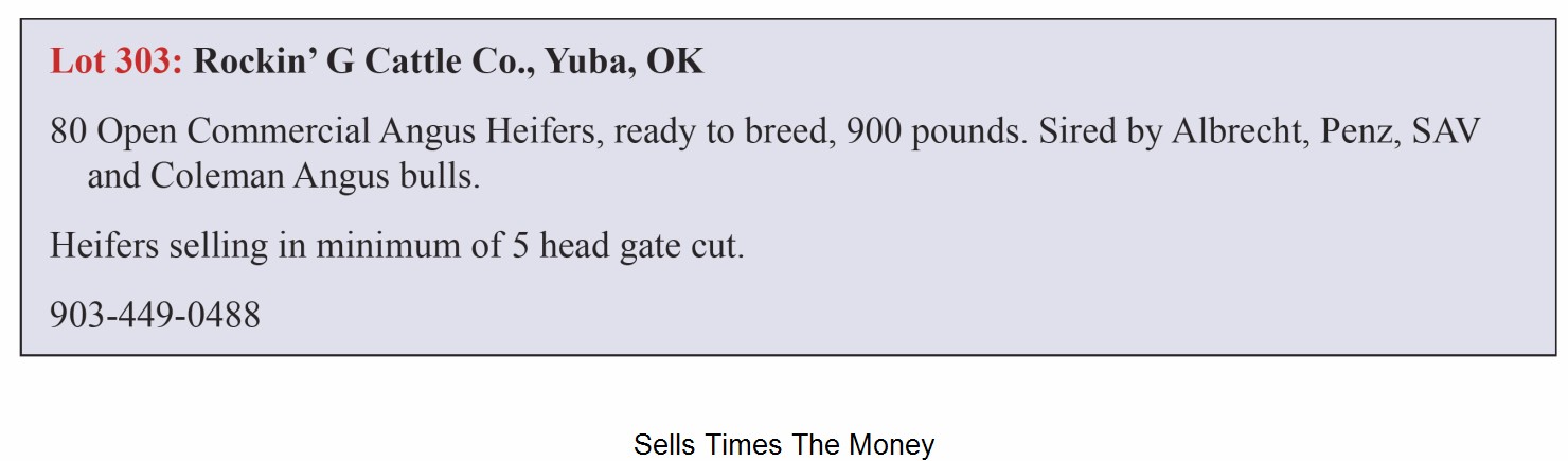 Lot 303: Albrecht/Penz Angus - Bull & Female Sale | DVAuction