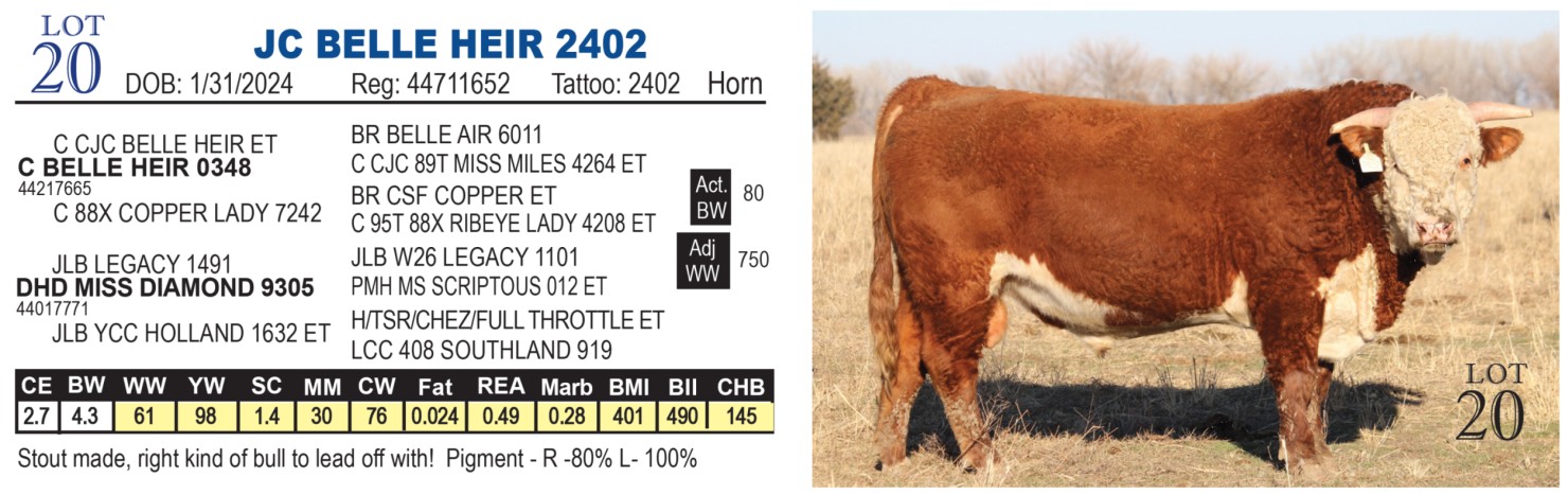 Lot 20: TS Ranch Herefords & Quarter Horses - TS Herefords & Quarter ...