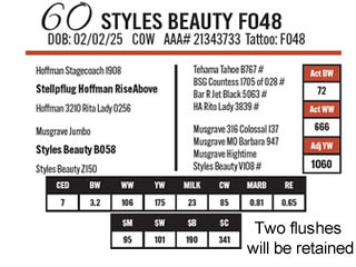 Lot 60: Styles Angus - 48th Annual Angus Bull & Female Sale | DVAuction