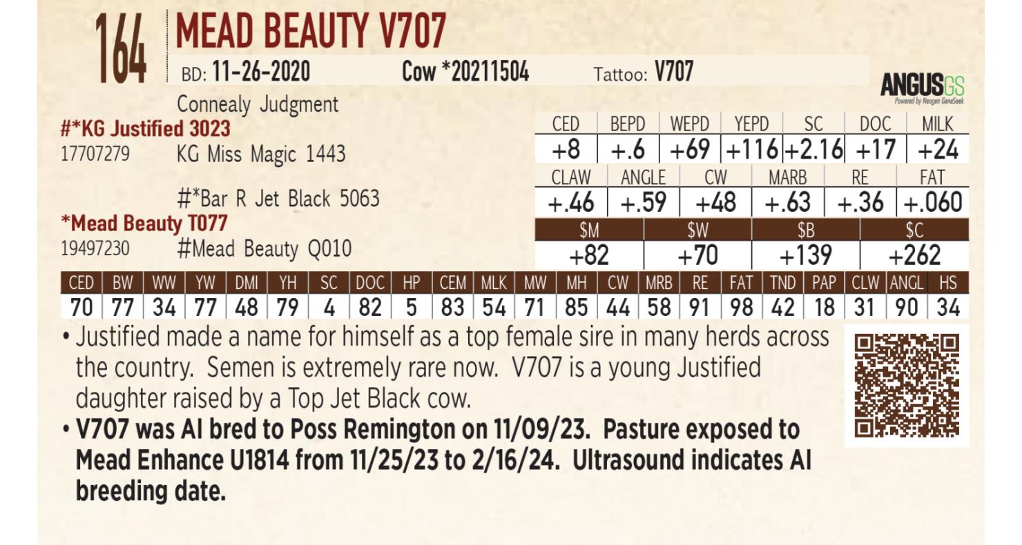 Lot 164 Mead Farms Annual Fall Bull & Female Sale DVAuction