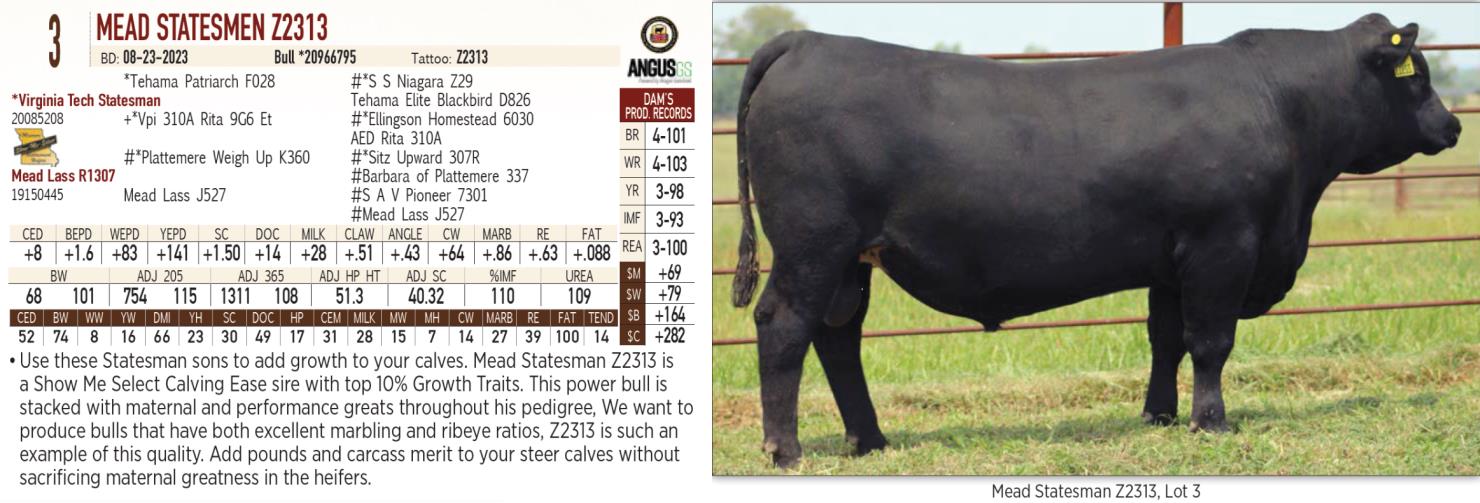 Lot 3 Mead Farms Annual Fall Bull & Female Sale DVAuction