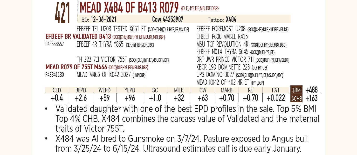 Lot 421 Mead Farms Annual Fall Bull & Female Sale DVAuction