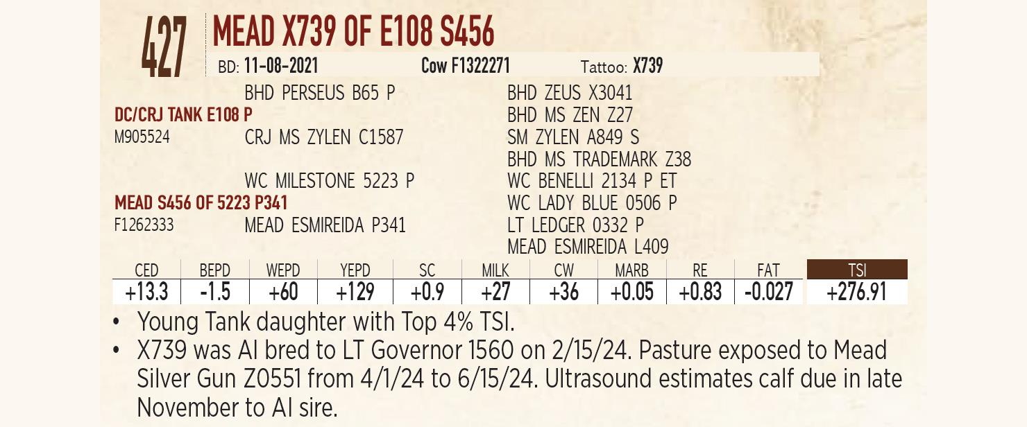 Lot 427 Mead Farms Annual Fall Bull & Female Sale DVAuction