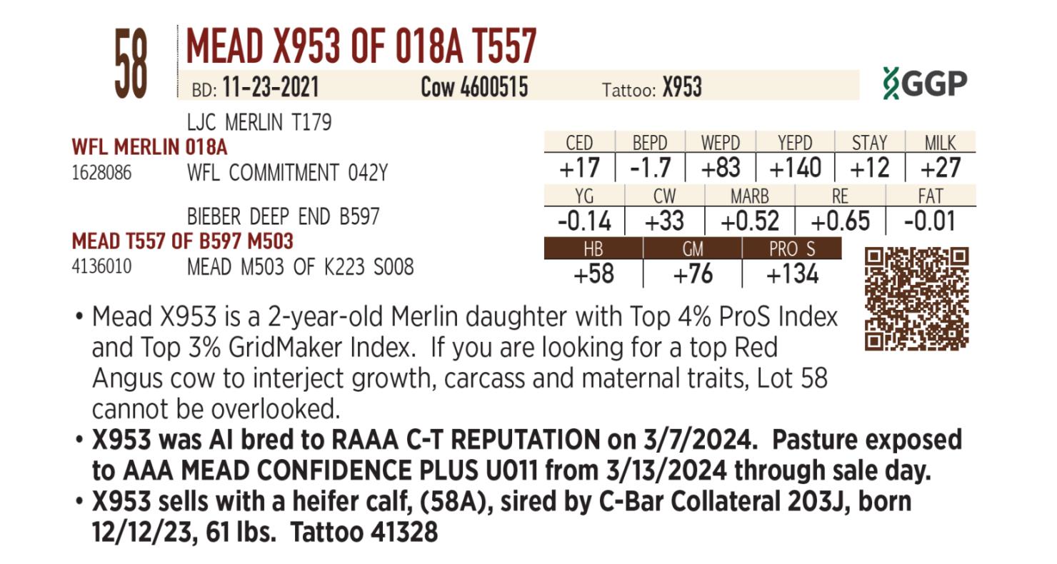 Lot 58 Mead Farms Annual Fall Bull & Female Sale DVAuction
