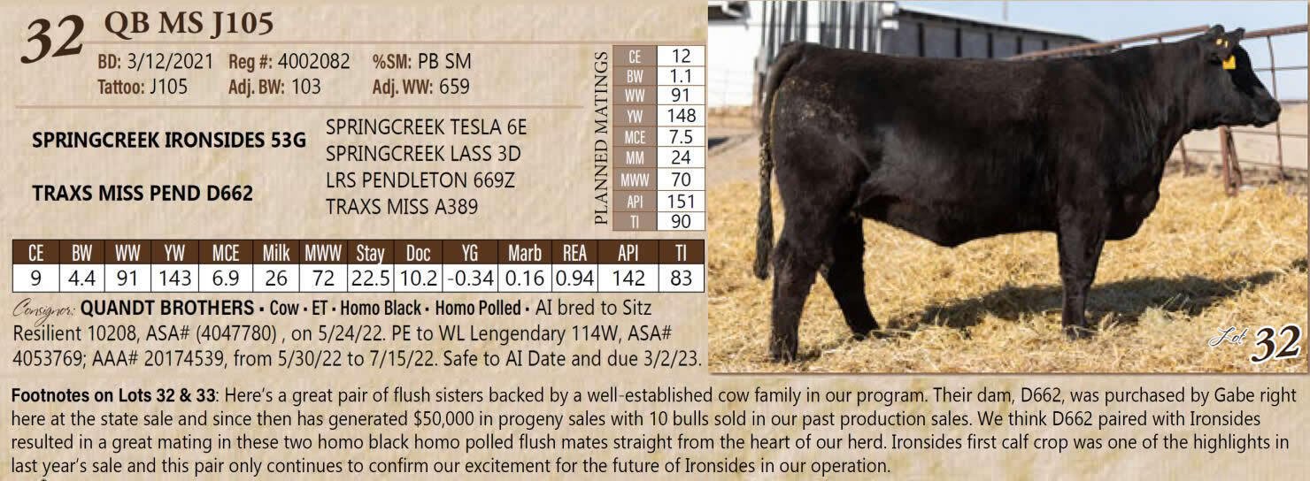 DVAuction Lot 32 North Dakota Simmental Association Classic Sale