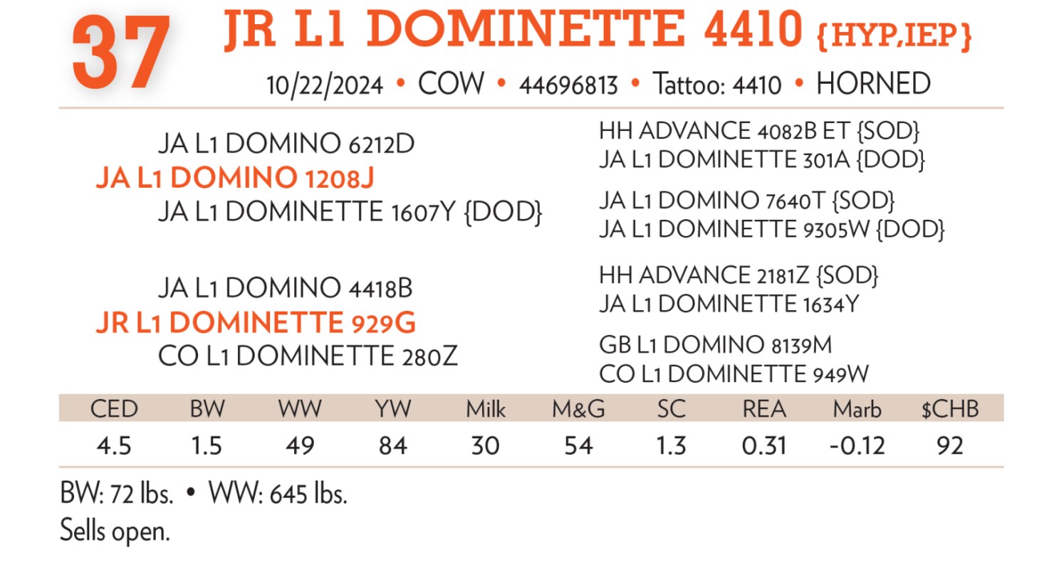 Lot 37: Jamison Ranch - Annual Fall Bull & Female Sale | DVAuction