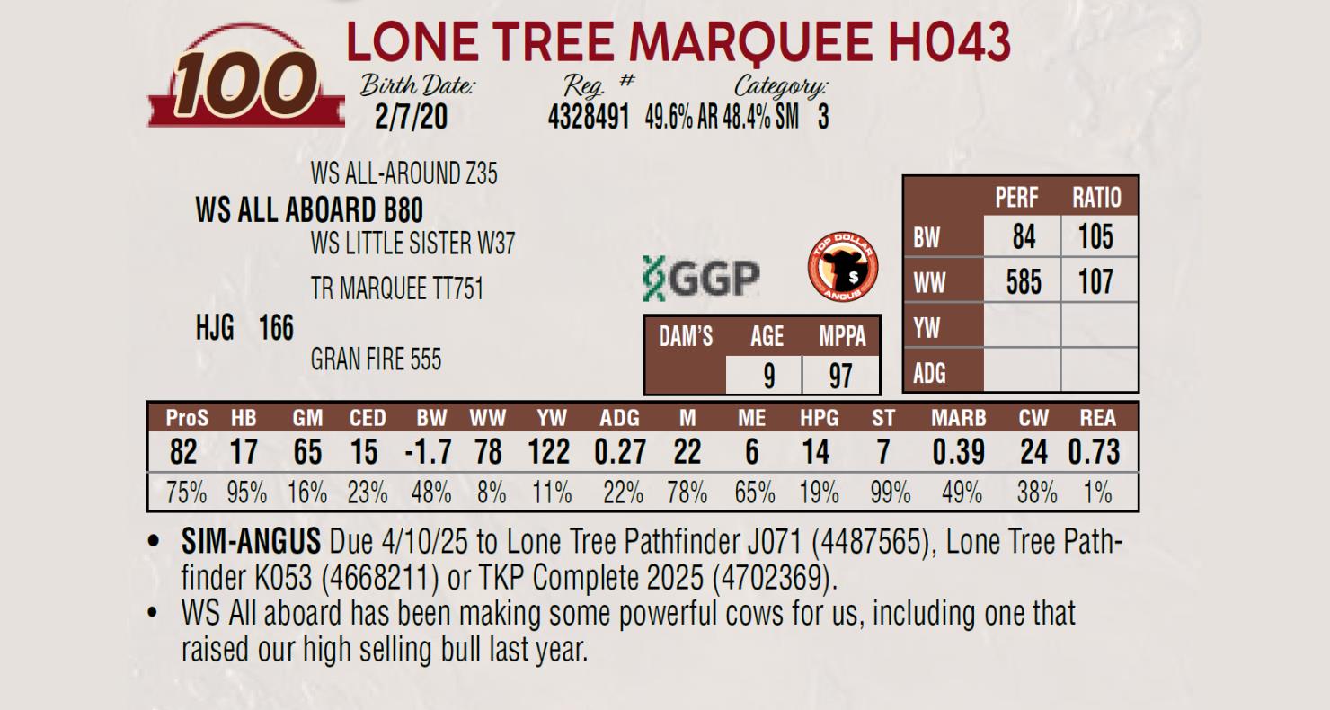 Lot 100 Lone Tree Angus Annual Red Angus Bull & Female Sale DVAuction