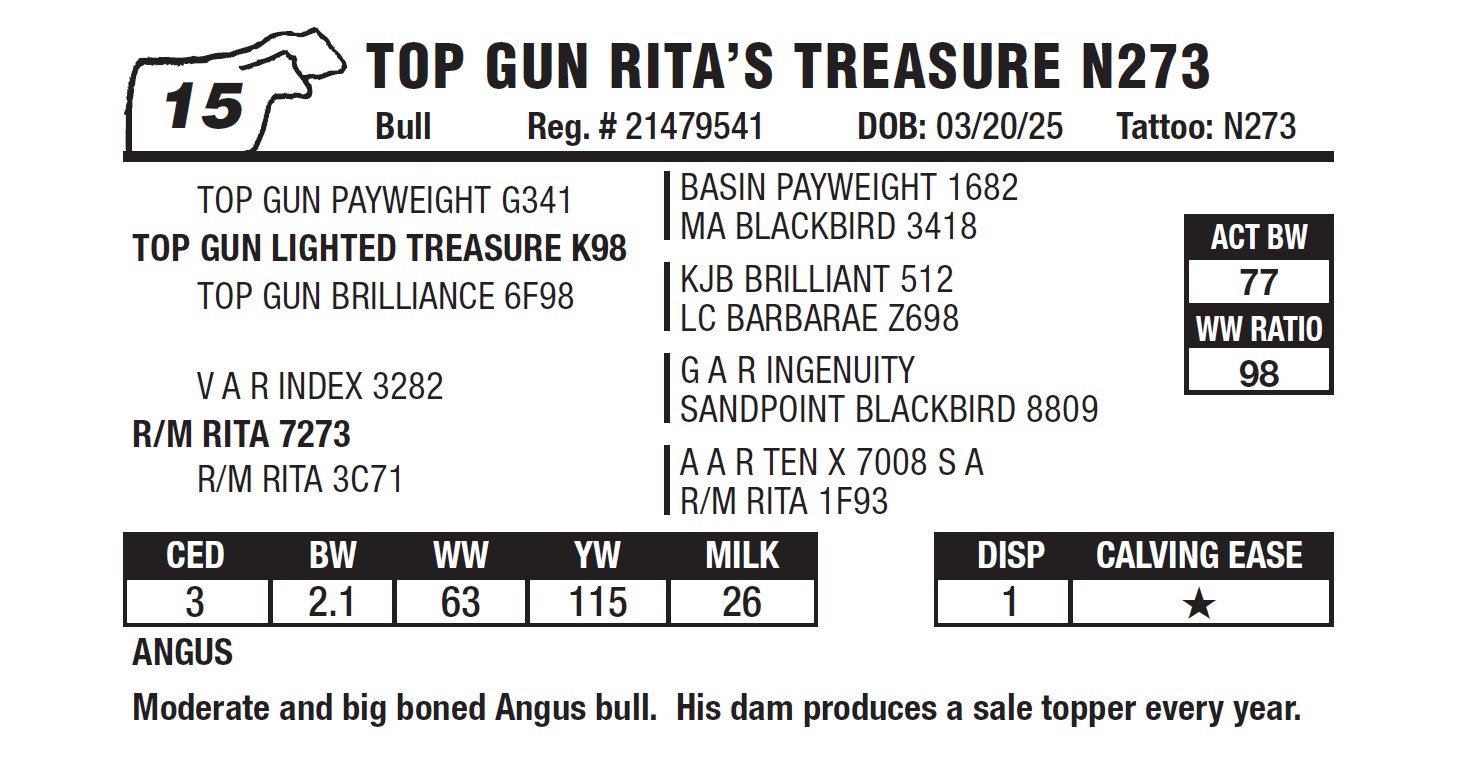 Lot 15 - Top Gun Rita's Treasure N273: Top Gun Cattle Open Bull & Open ...