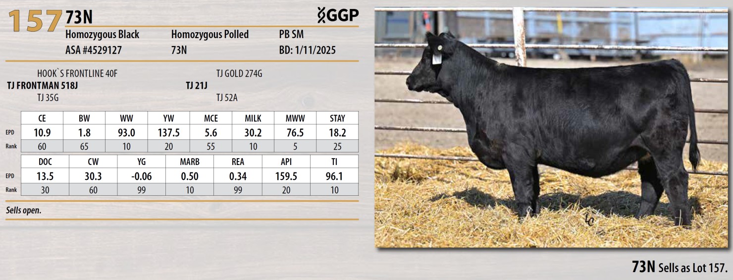Lot 157: Triangle J Ranch - Harvest Select Female Sale | DVAuction