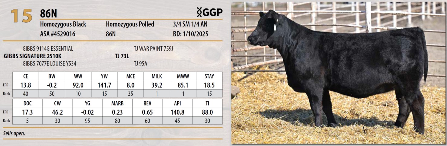 Lot 15: Triangle J Ranch - Harvest Select Female Sale | DVAuction