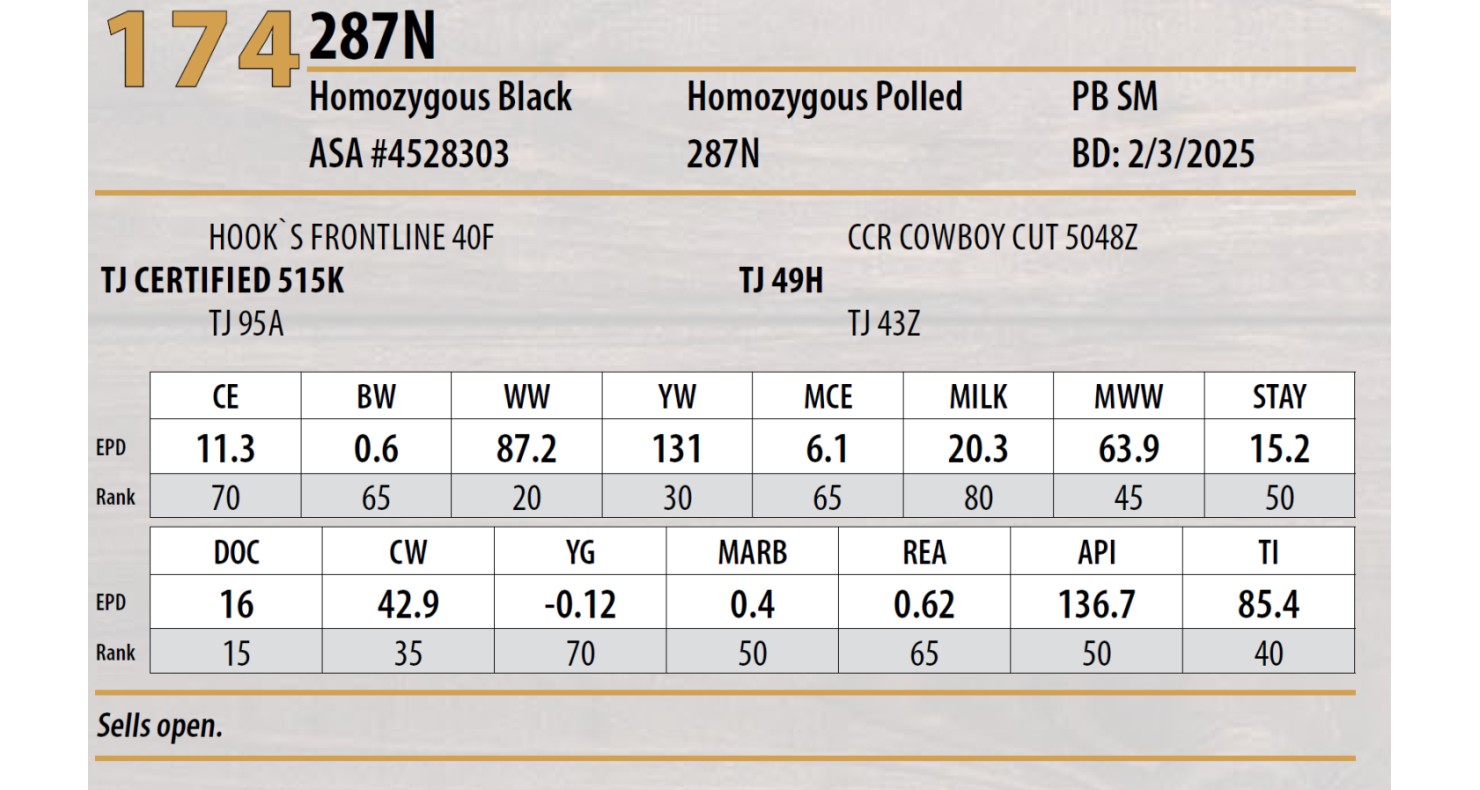 Lot 174: Triangle J Ranch - Harvest Select Female Sale | DVAuction