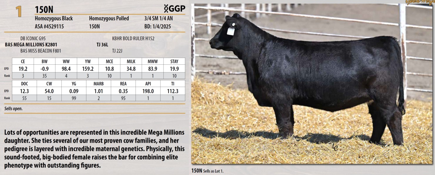 Lot 1: Triangle J Ranch - Harvest Select Female Sale | DVAuction