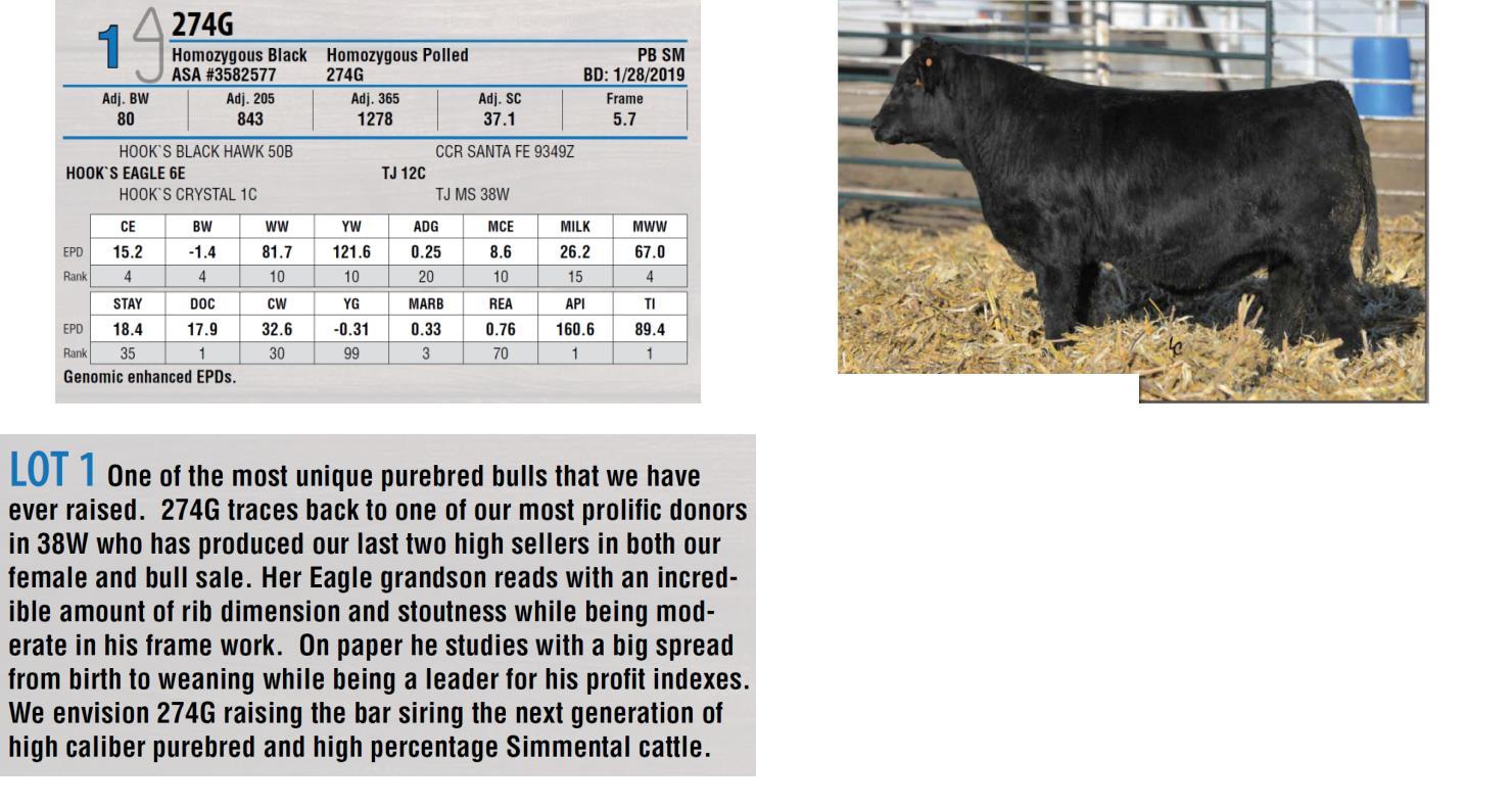 DVAuction Lot 1 Triangle J Ranch 30th Annual Bull Sale