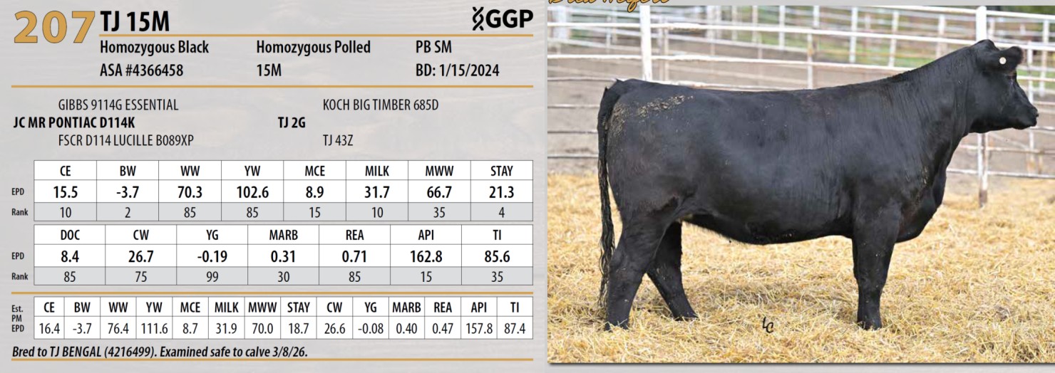 Lot 207: Triangle J Ranch - Harvest Select Female Sale | DVAuction
