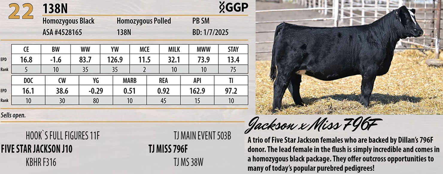 Lot 22: Triangle J Ranch - Harvest Select Female Sale | DVAuction