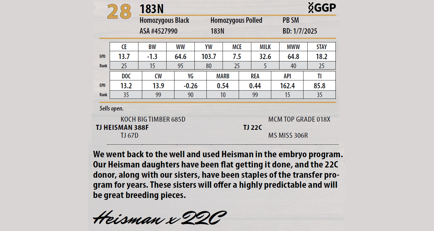 Lot 28: Triangle J Ranch - Harvest Select Female Sale | DVAuction