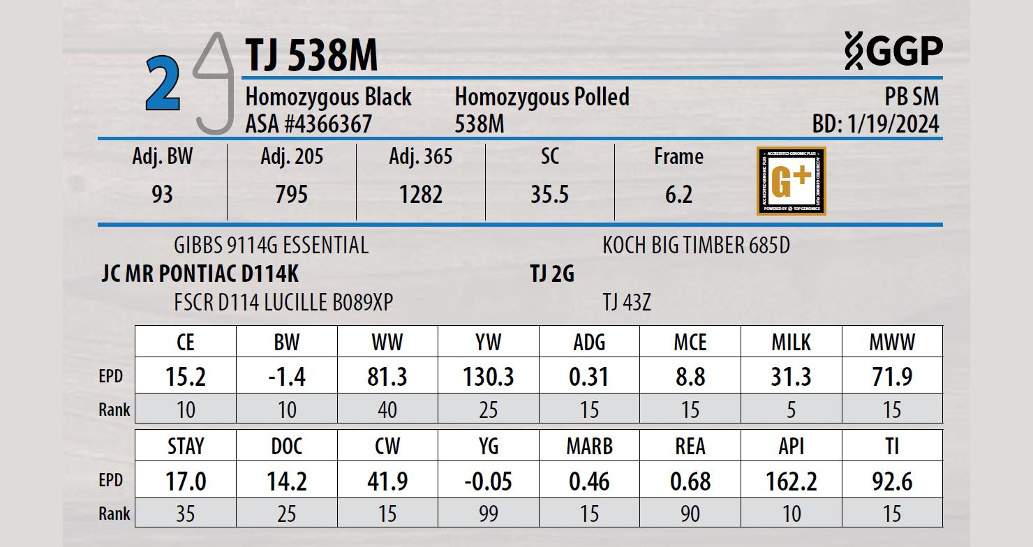 Lot 2: Triangle J Ranch - 35th Annual Bull Sale | DVAuction