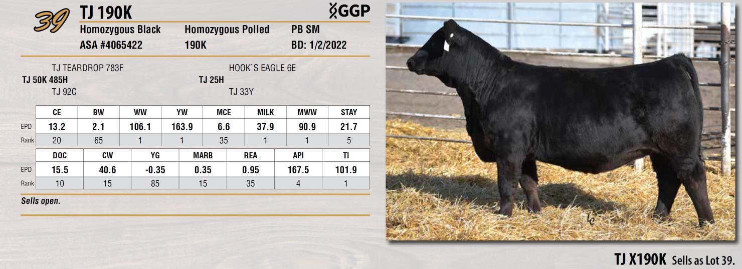 DVAuction Lot 39 Triangle J Ranch Harvest Select Female Sale