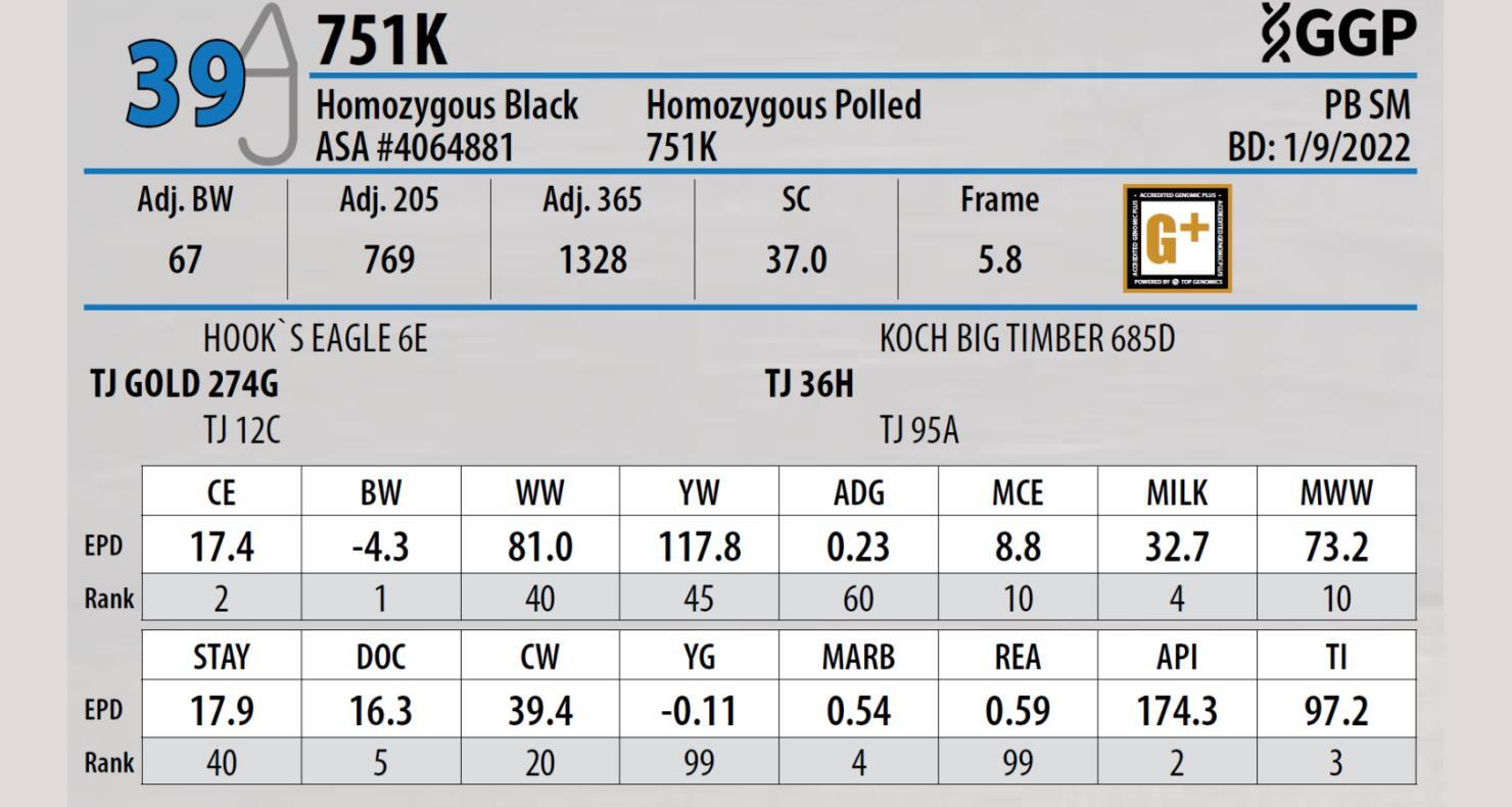 DVAuction Lot 39 Triangle J Ranch 33rd Annual Bull Sale