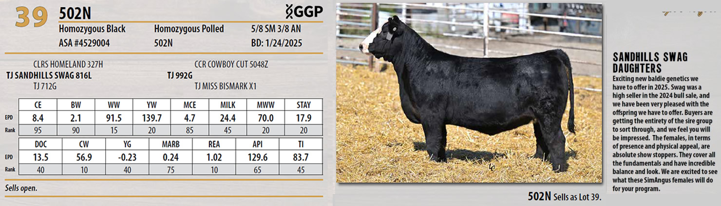 Lot 39: Triangle J Ranch - Harvest Select Female Sale | DVAuction