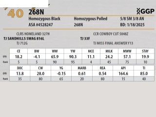 Lot 40: Triangle J Ranch - Harvest Select Female Sale | DVAuction