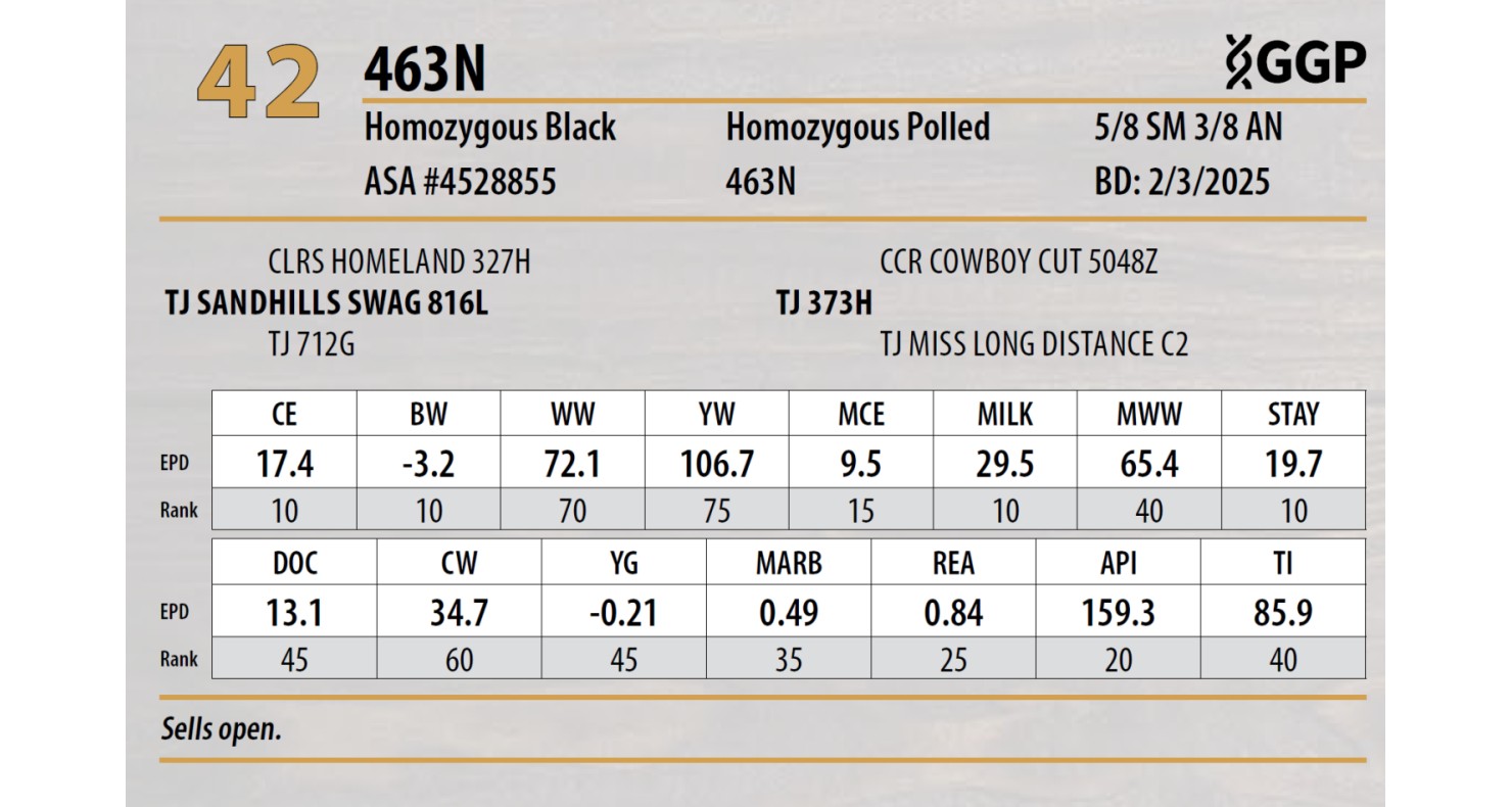 Lot 42: Triangle J Ranch - Harvest Select Female Sale | DVAuction