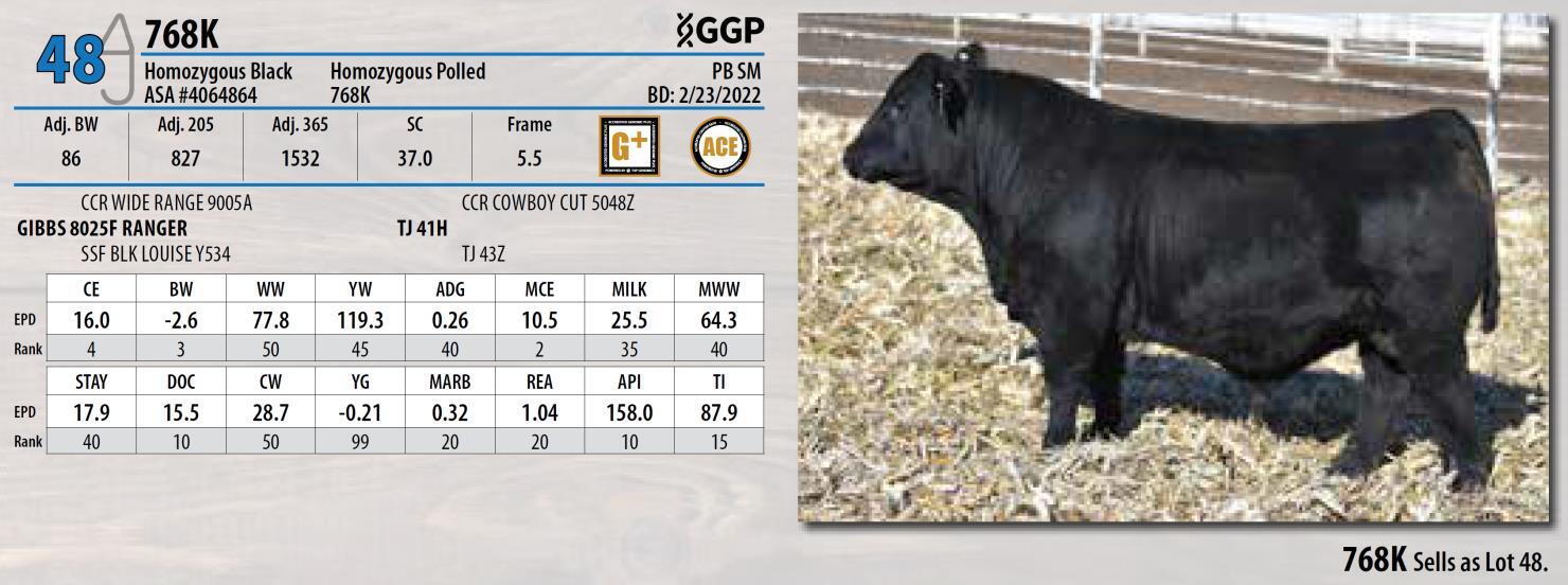 DVAuction Lot 48 Triangle J Ranch 33rd Annual Bull Sale