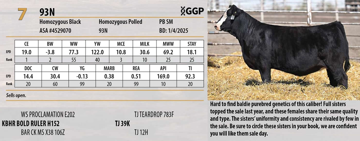 Lot 7: Triangle J Ranch - Harvest Select Female Sale | DVAuction
