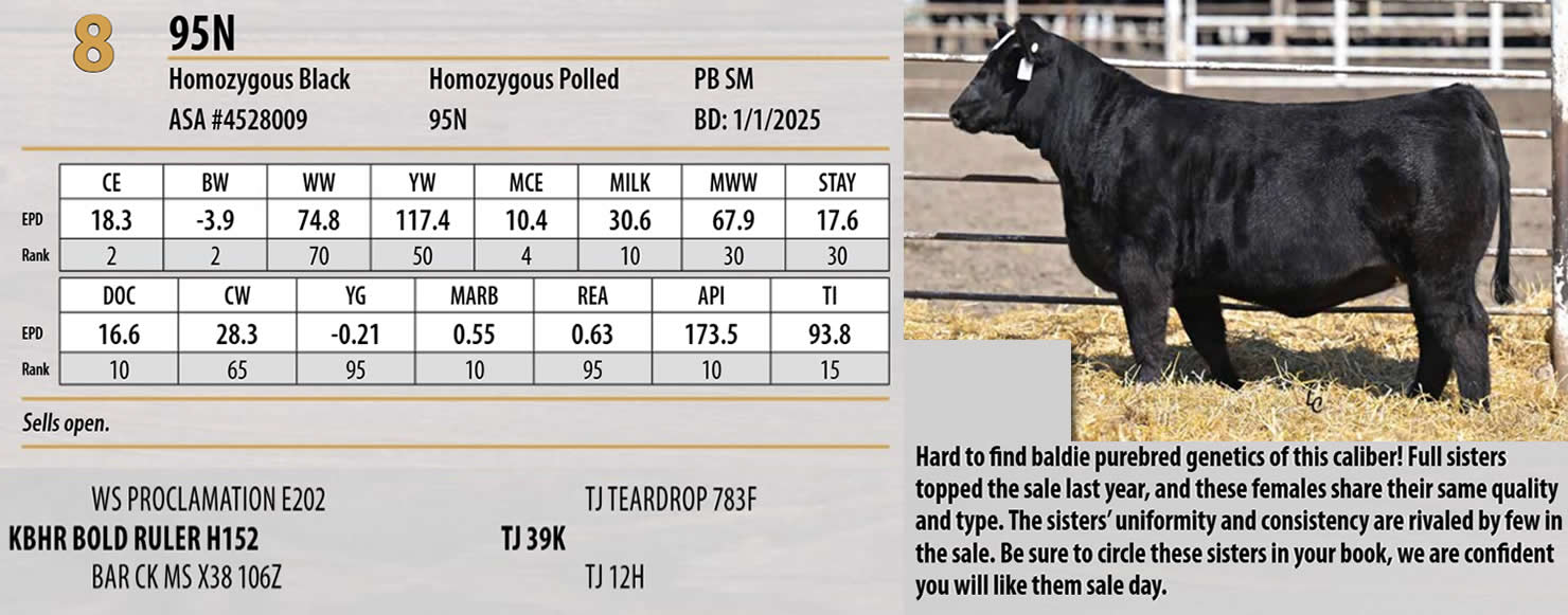 Lot 8: Triangle J Ranch - Harvest Select Female Sale | DVAuction