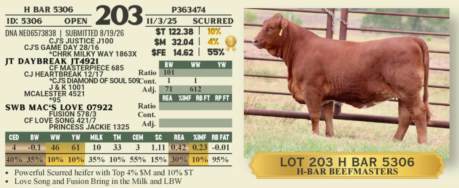 Lot 203: Genetic Investment Sale - Fall Bull & Female Sale | DVAuction