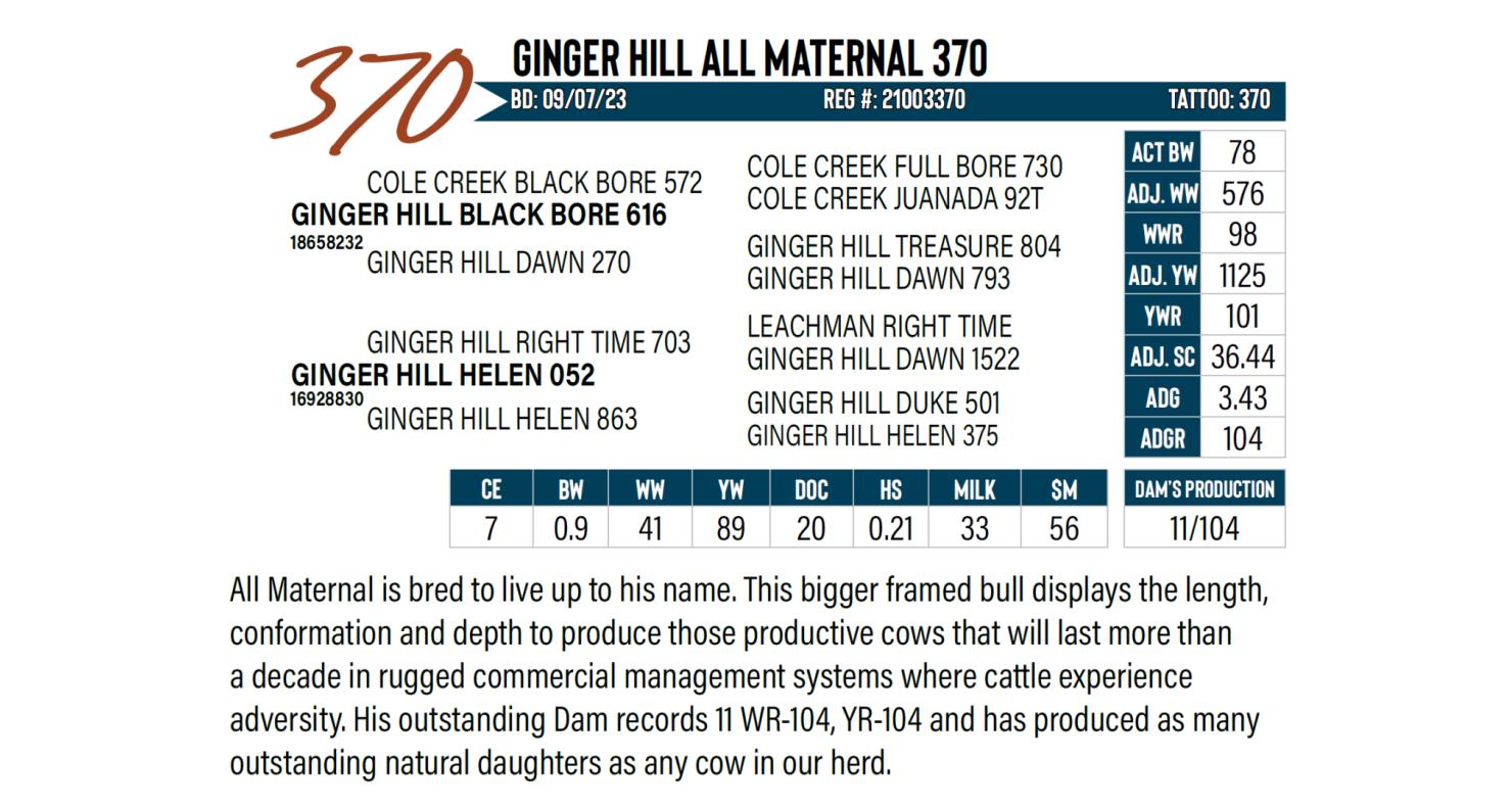 Lot 370 Ginger Hill Angus Angus Bull & Female Sale DVAuction