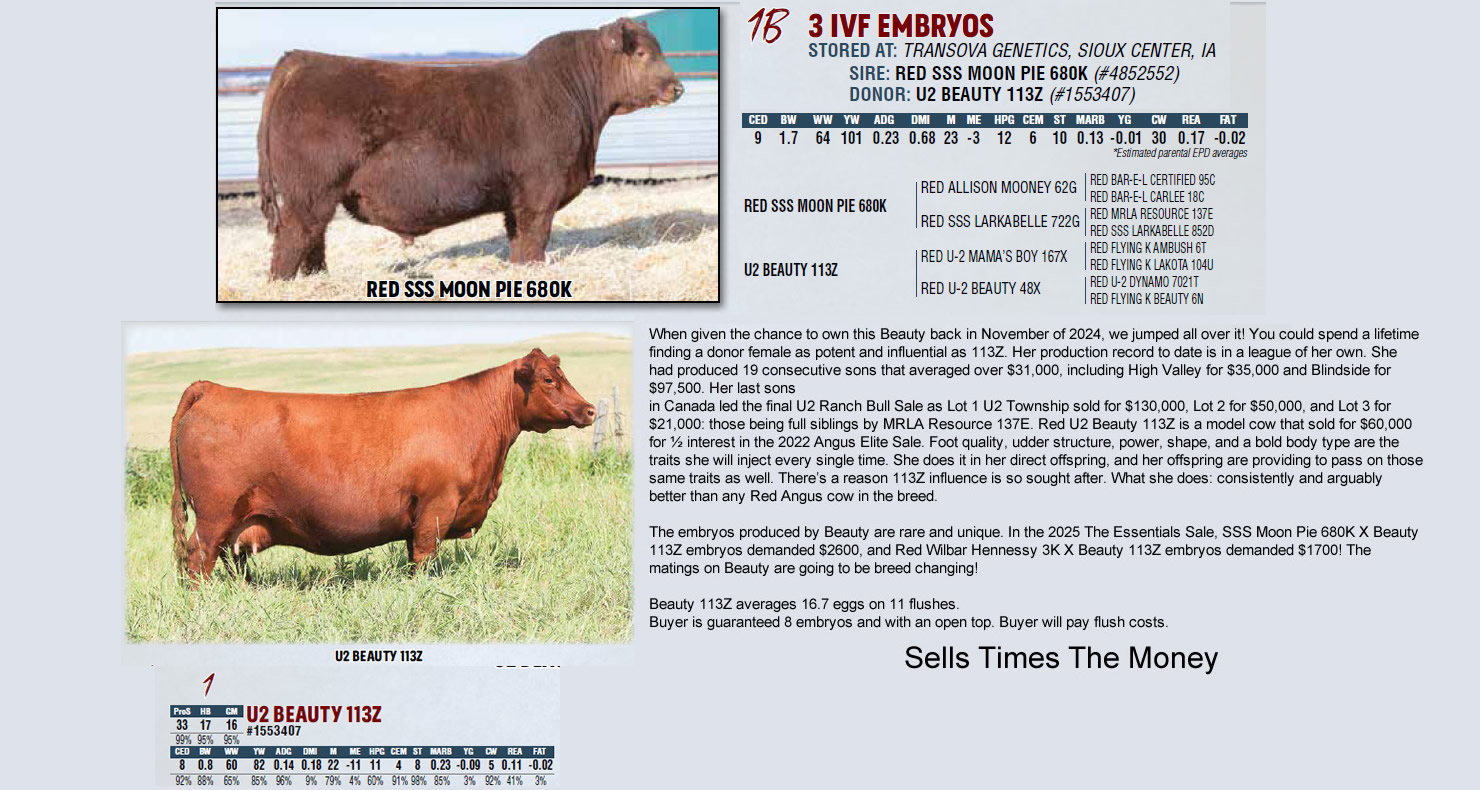Lot 1B U2 BEAUTY 113Z X RED SSS MOON PIE 680K Rohrich's Cutting Edge