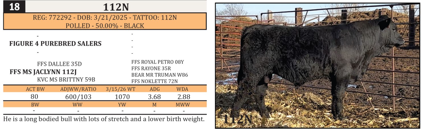 Lot 18 - 112N: Rafter 9 Cattle Co - Annual Production Sale | Rafter 9 ...