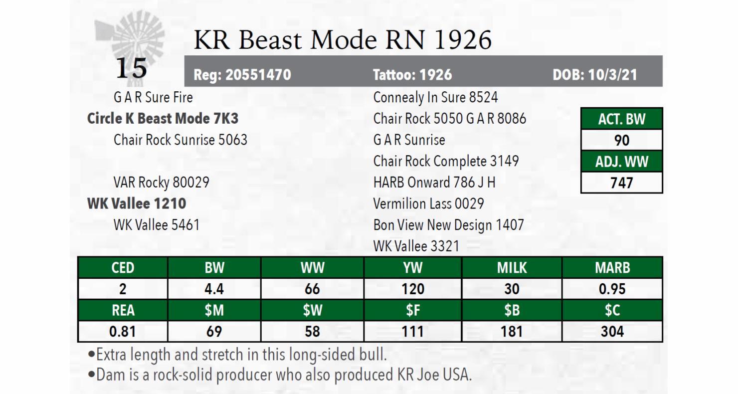 DVAuction Lot 15 Krebs Ranch 43rd Annual Bull Sale