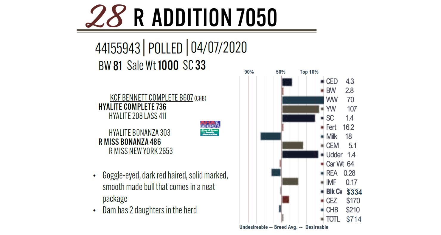 Dvauction Lot 28 Rausch Herefords 63rd Annual Sale