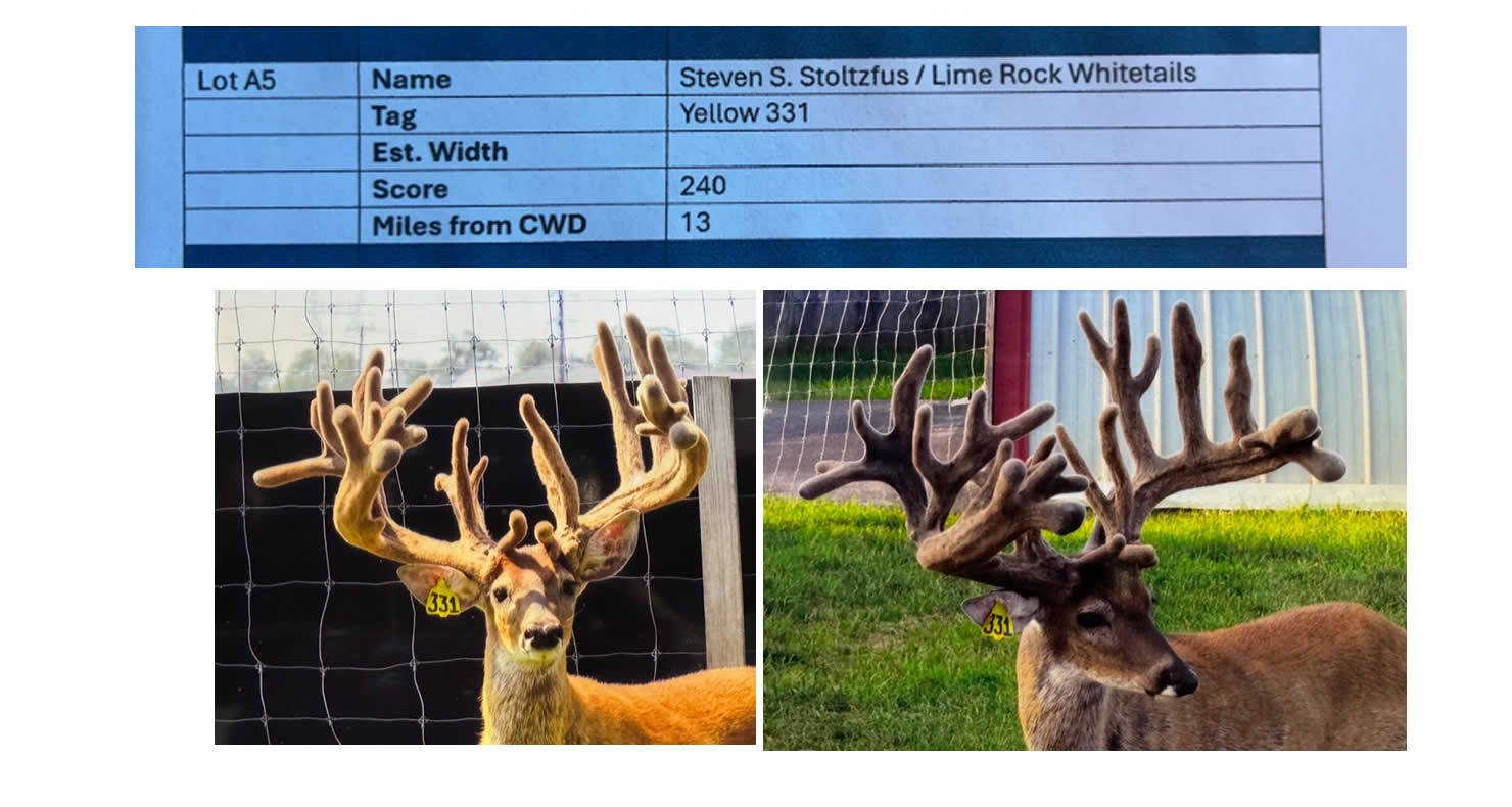 Lot a5 Pennsylvania Deer Farmers Association PA Eastern Fall Classic