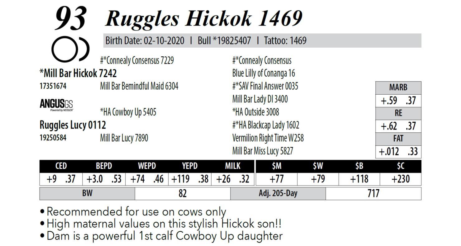 Angus Auctions Lot 93 Ruggles Angus Annual Bull Sale