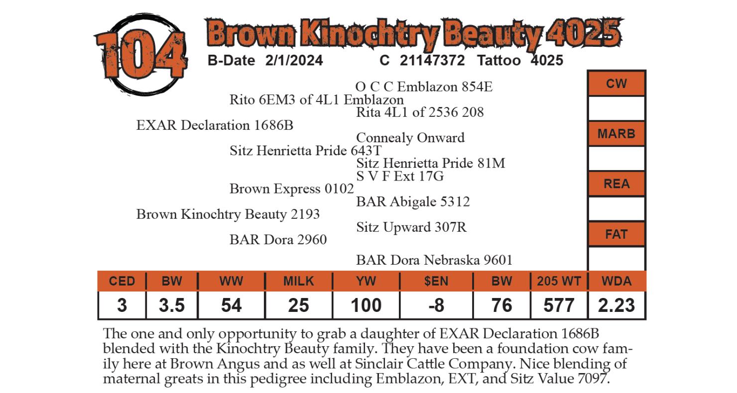 Lot 104: Brown's Angus Ranch - 27th Annual Angus Bull & Female Sale ...