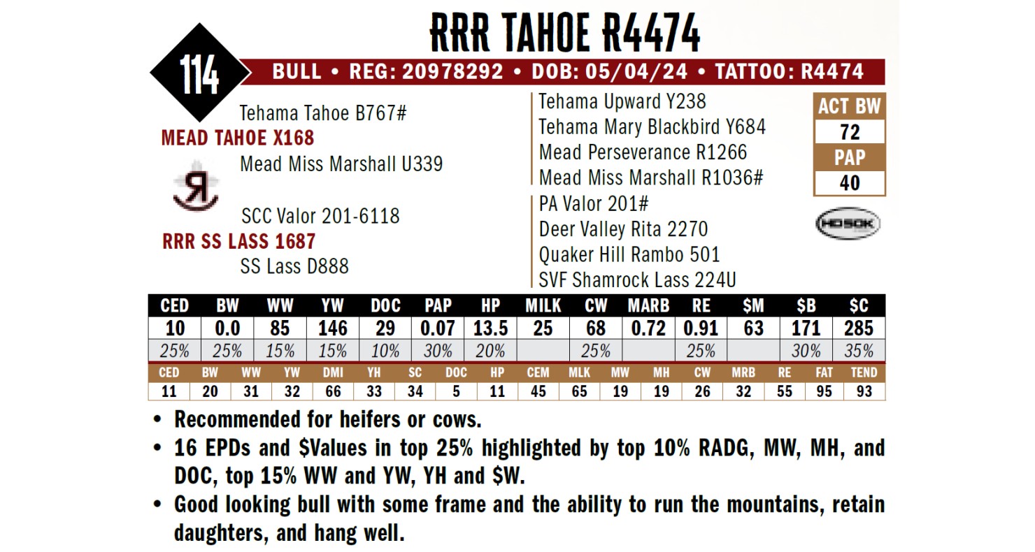 Lot 114: Reverse Rocking R Ranch - Annual Production Sale | DVAuction