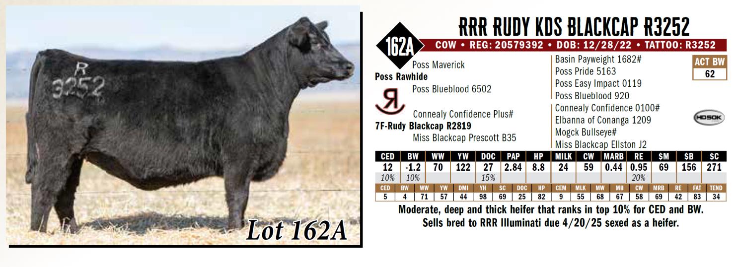 Lot 162a: Reverse Rocking R Ranch - Annual Fall Sale | DVAuction