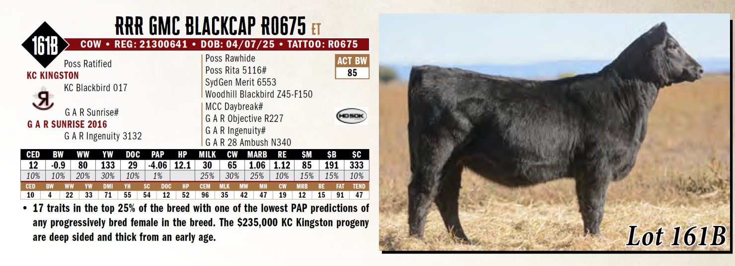 Lot 161b: Reverse Rocking R Ranch - Annual Production Sale | DVAuction