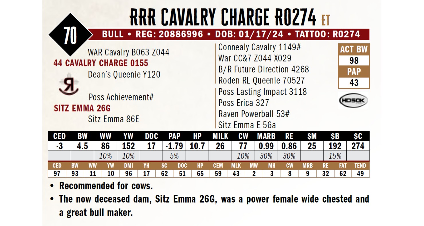 Rocking R Ranch Badge Lot 70: Reverse Rocking R Ranch - Annual Production Sale | DVAuction
